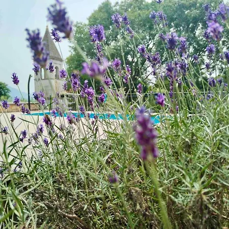 Rustic Leni فيلة