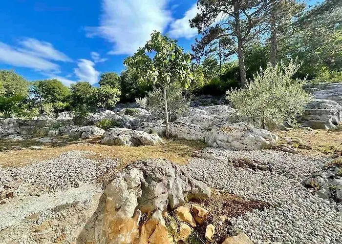 빌라 Rustic Leni Susnjevica