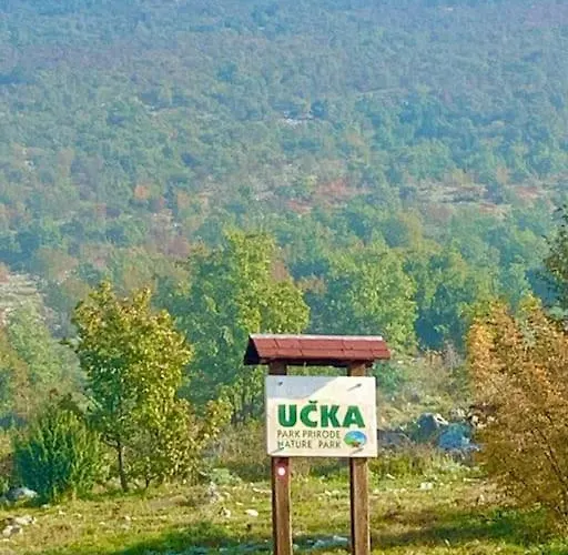 Villa Rustic Leni Susnjevica