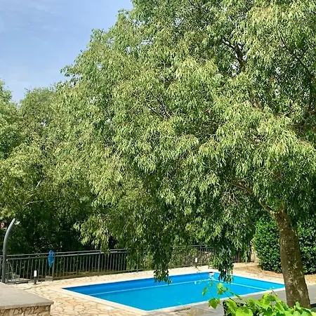 Villa Rustic Leni Susnjevica